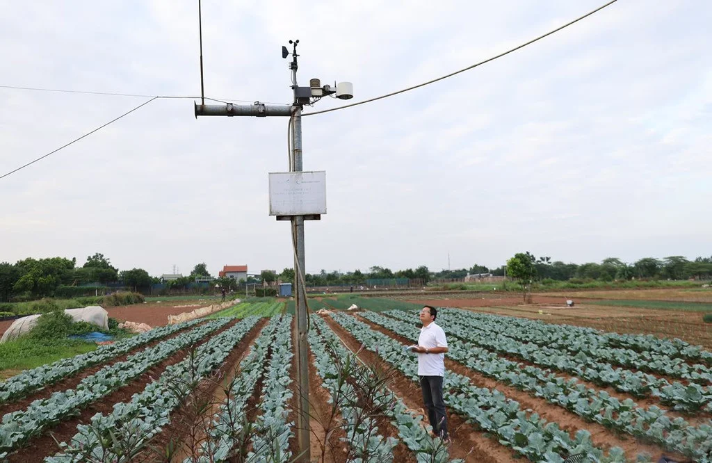 Ứng dụng của thiết bị camera quan sát trong ngành nông nghiệp